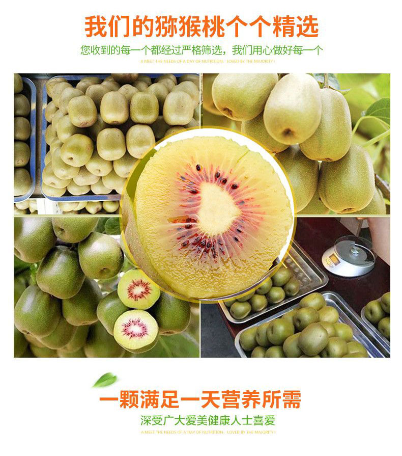 b165211897142ab28c758d78bfa6316dd3d627de24c0de-QjeyT4_fw1200_04