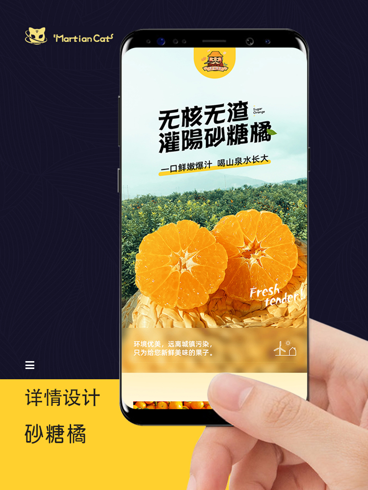 水果蔬菜 橙子详情