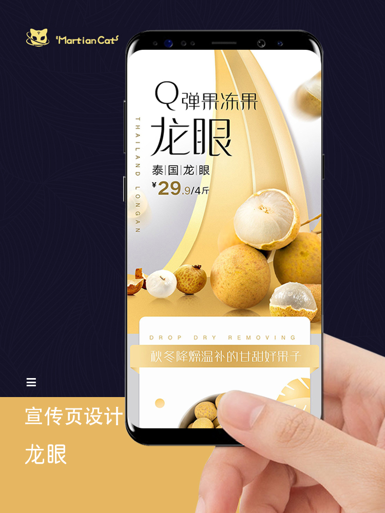 水果蔬菜 龙眼宣传页设计
