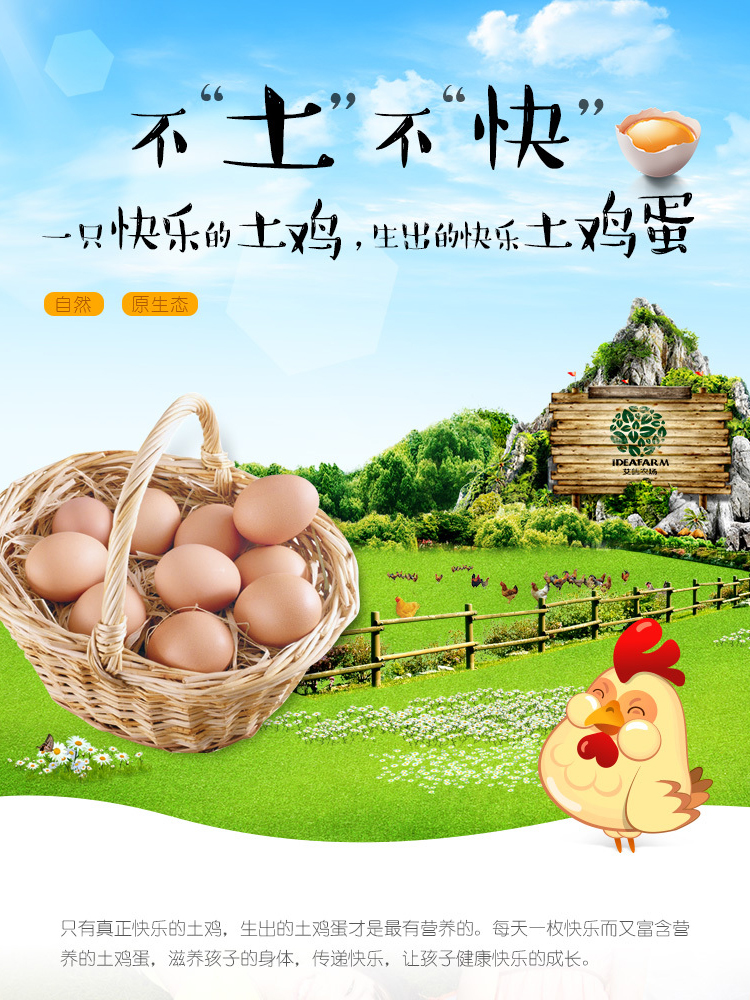生鲜鸡蛋土鸡蛋详情