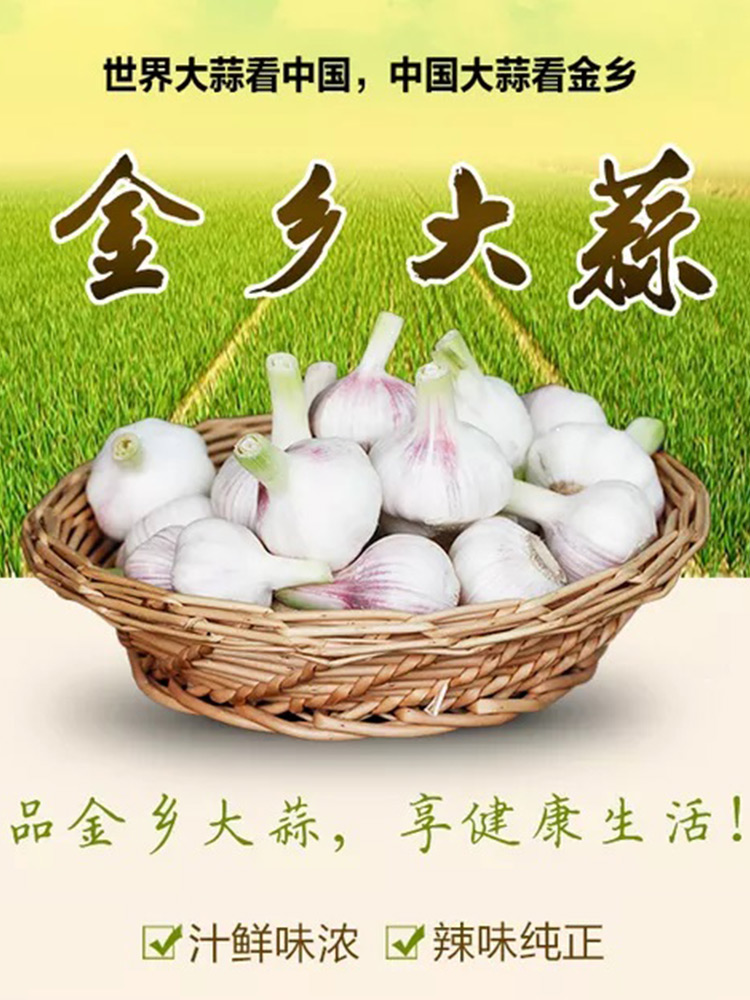 生鲜金乡大蒜