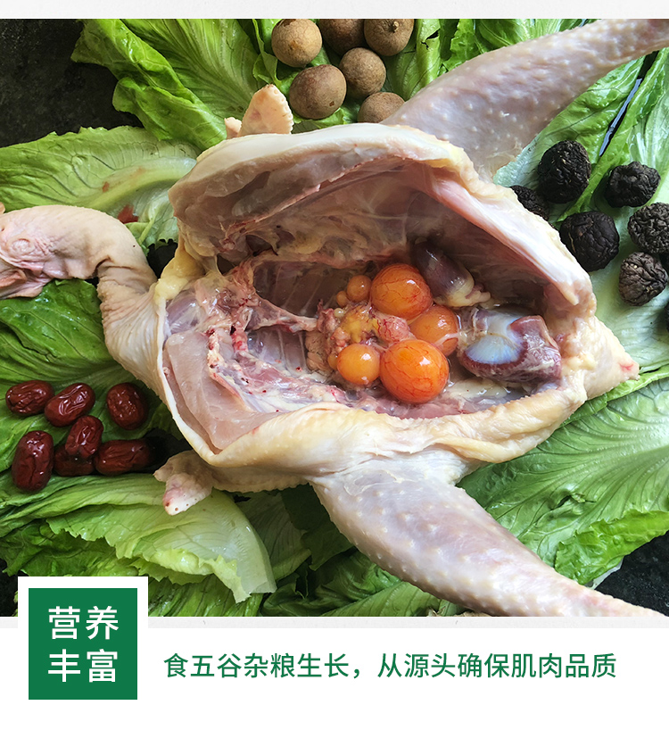 散养鸡-详情_10