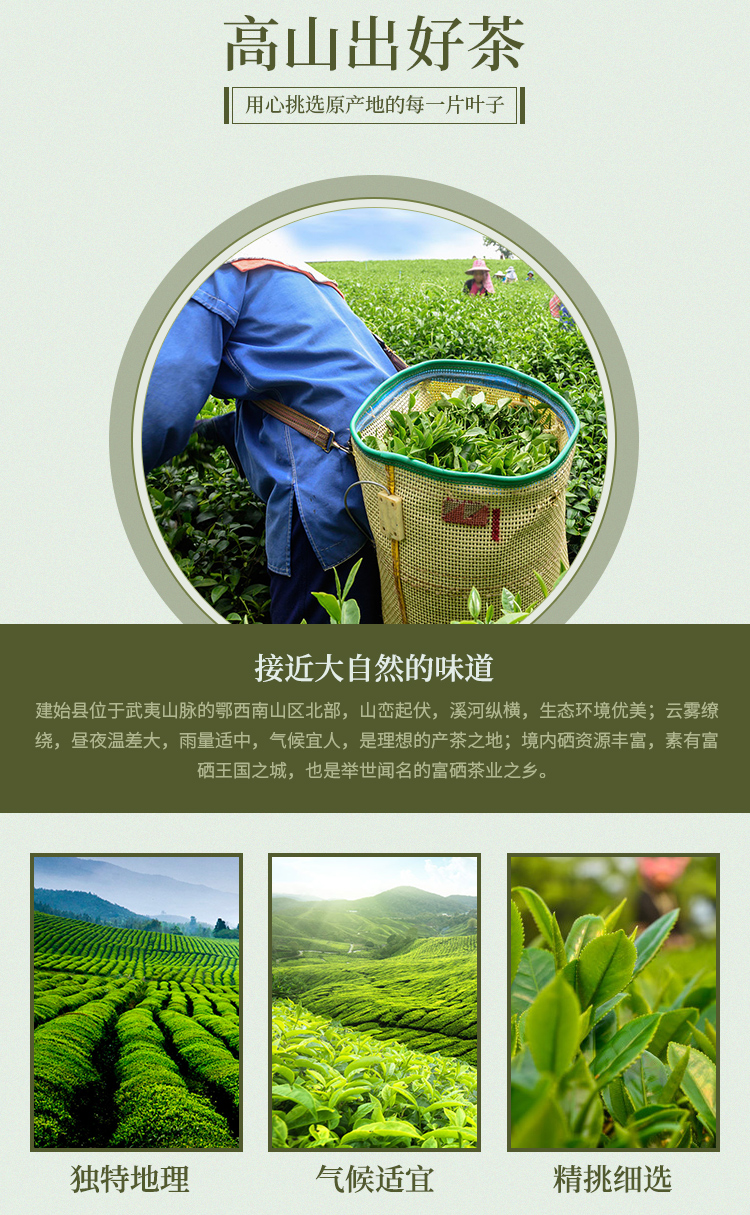 炜丰茶业-详情页_04