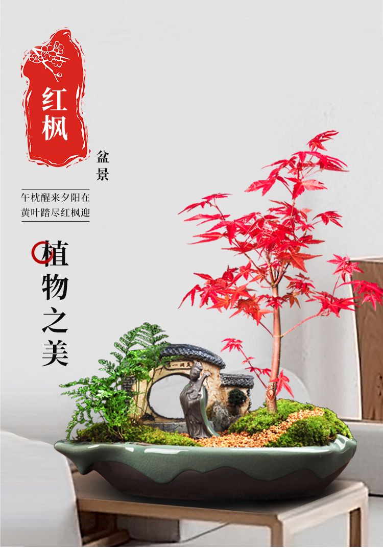 未标题-1_01
