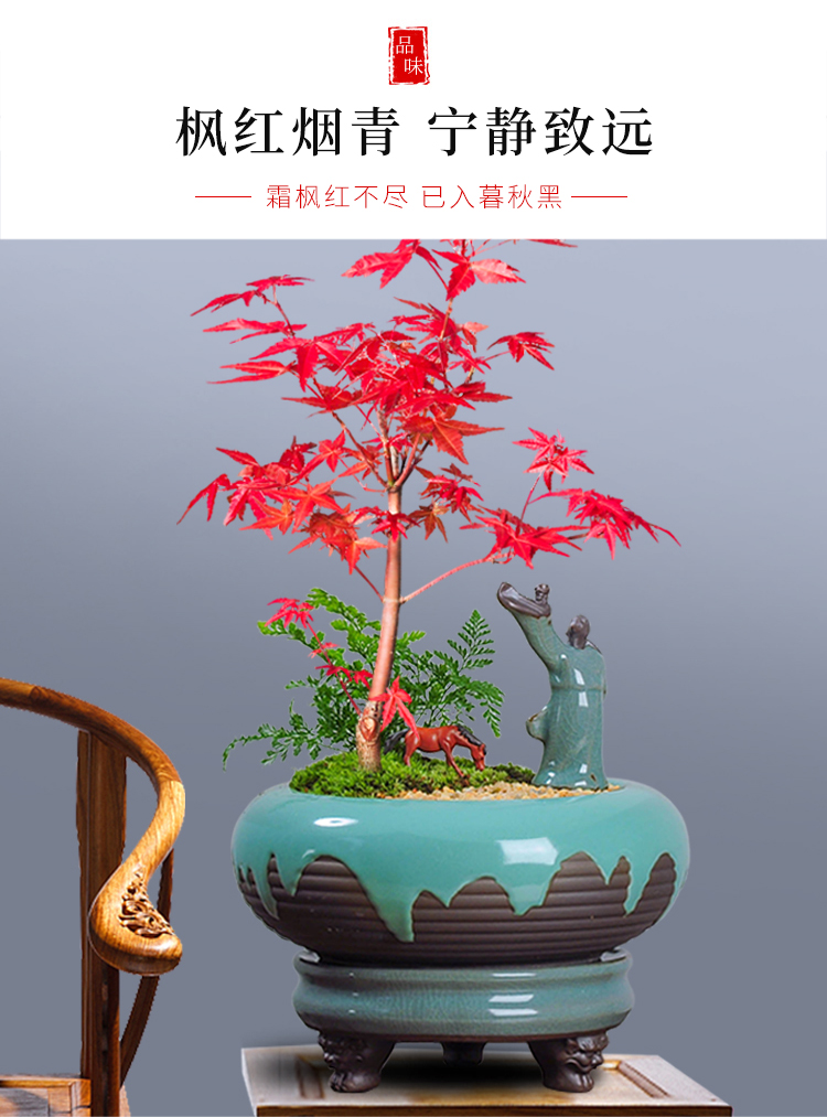 未标题-1_04