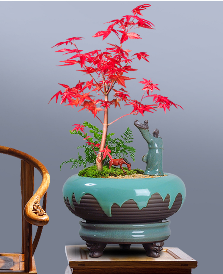 未标题-1_09