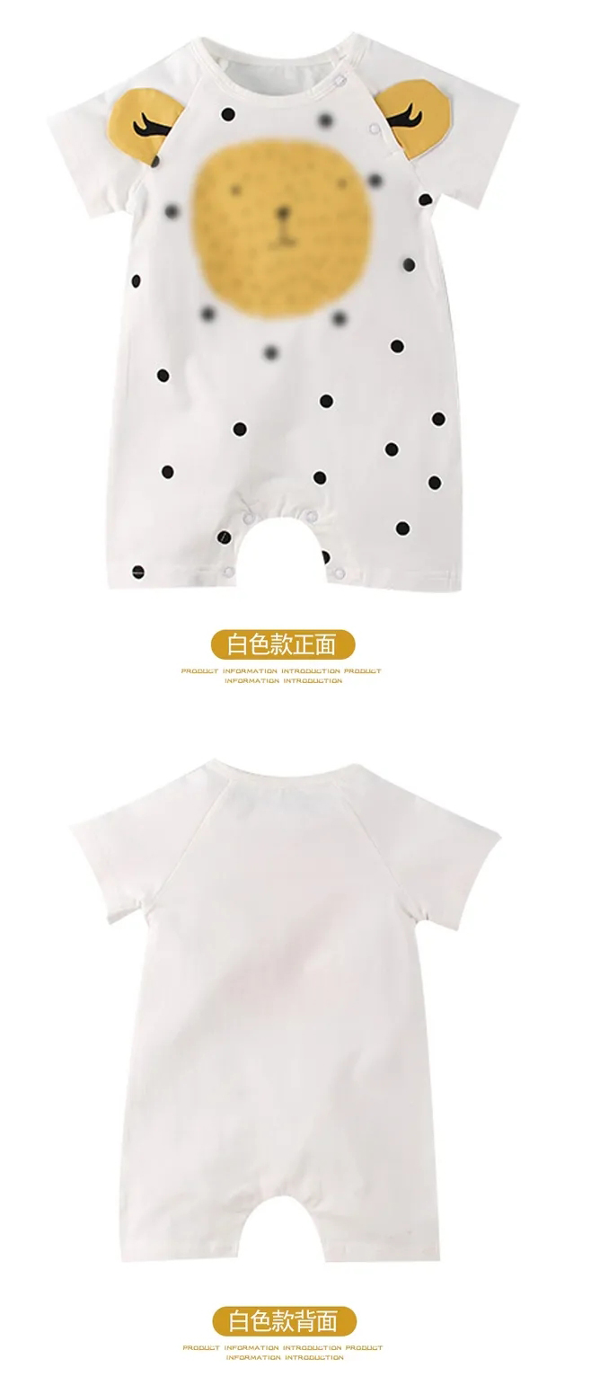 webp_04