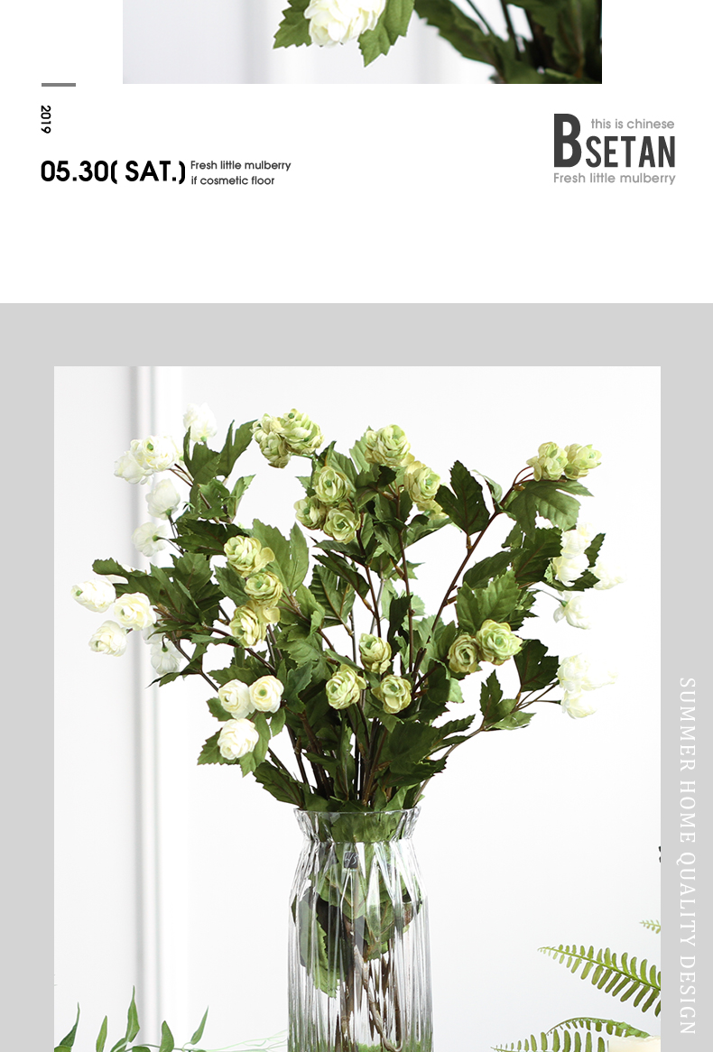 植物_03
