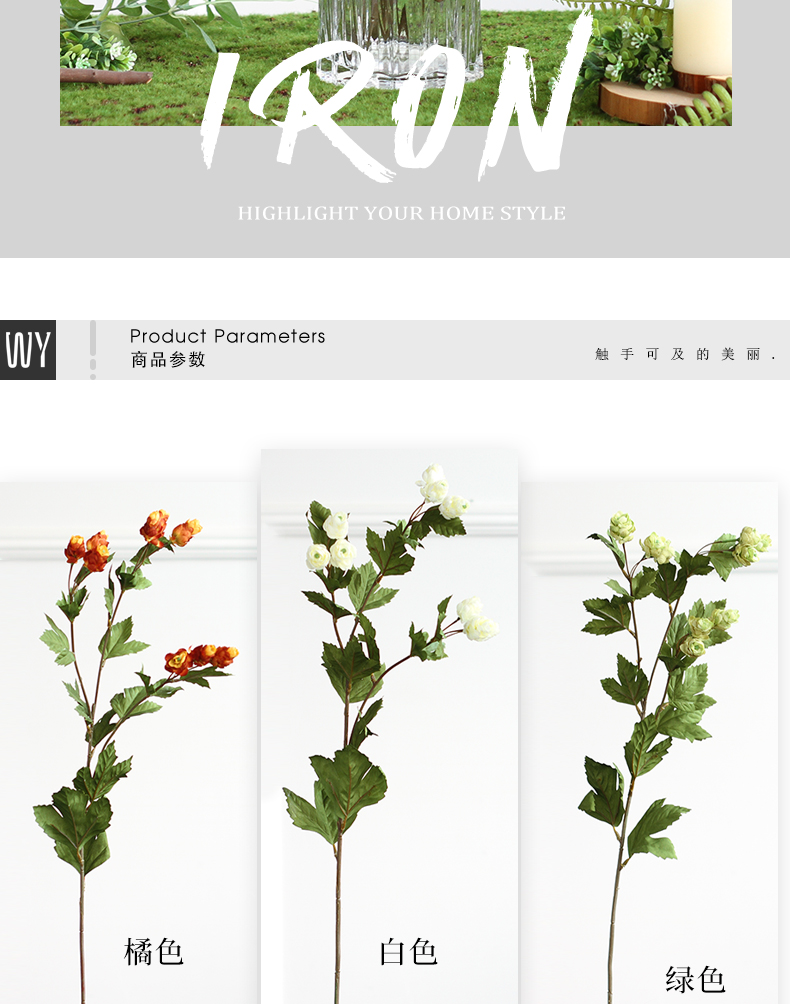 植物_04