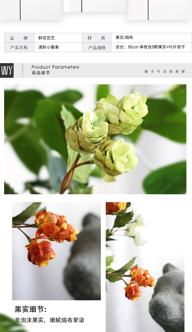 植物_05