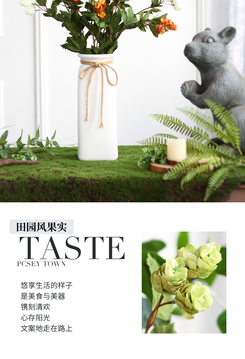 植物_08