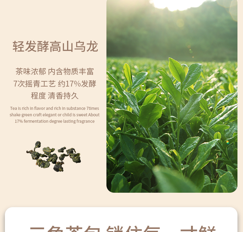桂花乌龙1_04