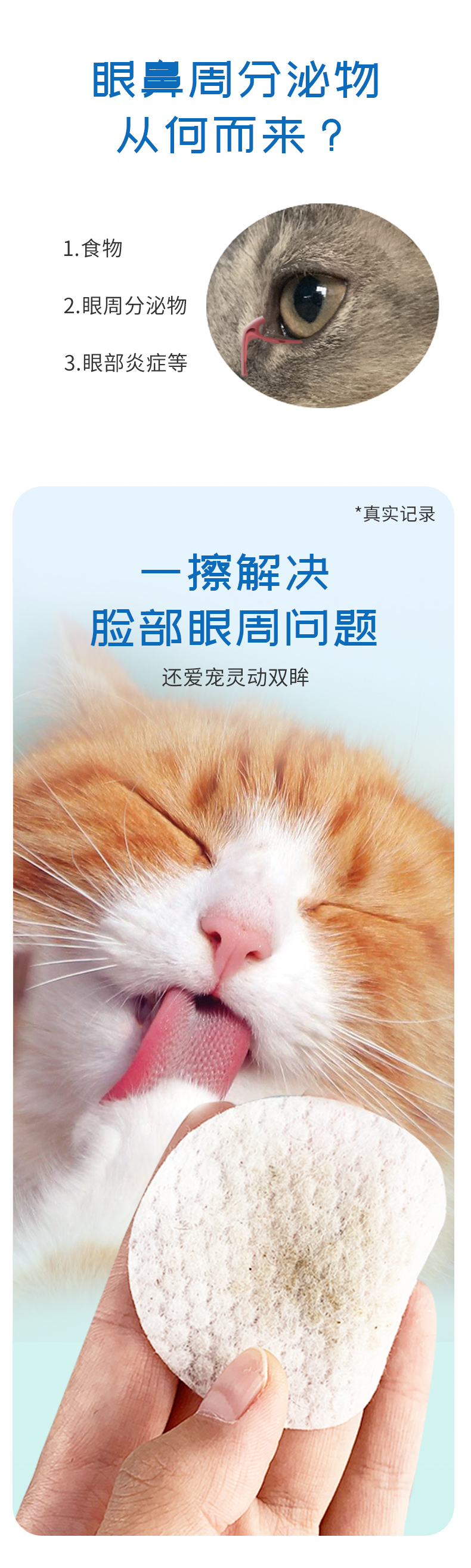 宠物_04