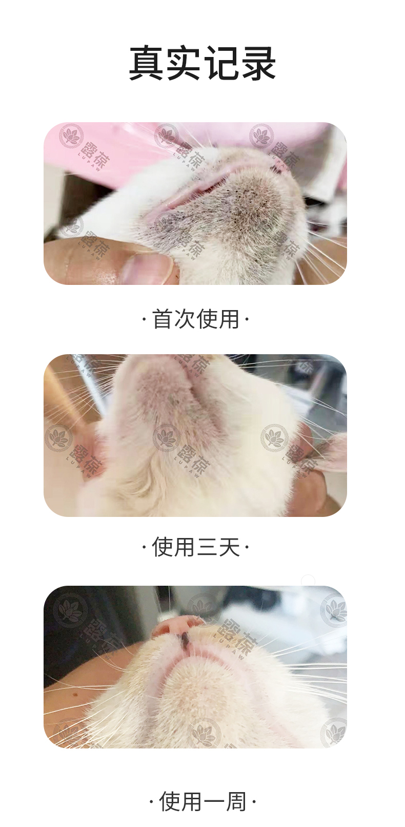 黑下巴_08