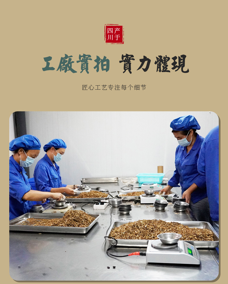 菊花茶_12
