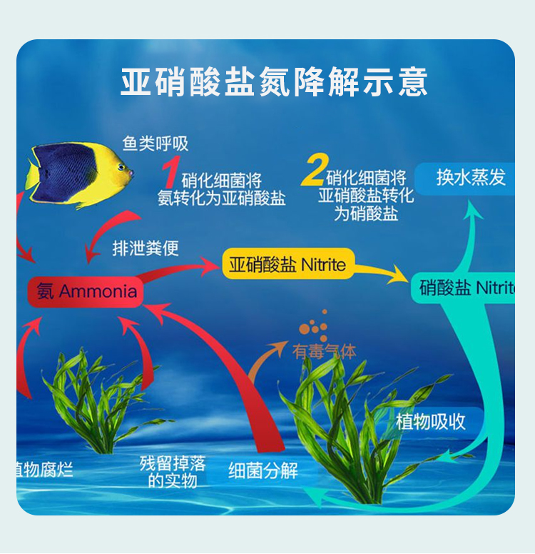 亚硝克星片_05