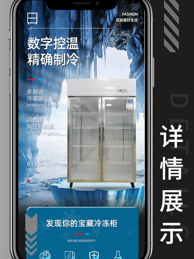单温铜管冷柜冰柜商用大容量双门静音节能冻肉柜冷冻冷藏家用